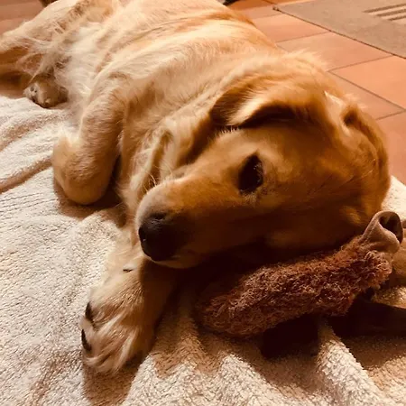 Appartement Chez Mima