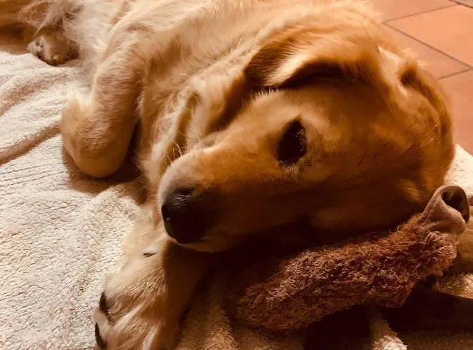 Apartamento Chez Mima